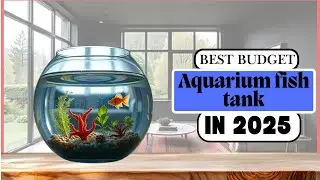 Best Budget Aquarium fish tank in 2025 ( Best Fish Tanks for in 2025) #fishkeepinghobby