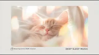 💤 Fluffy Kitten Dreams | Soft Light + Deep Sleep Music 🌈🐱 #435