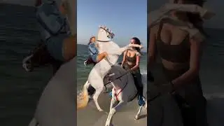 Horse Rider Girl Power 💪🐎 | Elegance Meets Extreme Skills