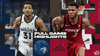 Sioux Falls Skyforce vs. Iowa Wolves - Game Highlights