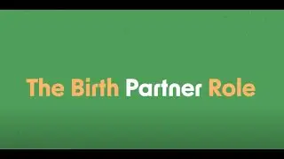 The Birth Partner Role