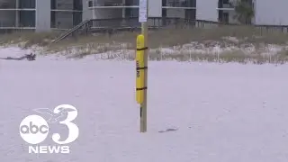Life-saving rescue tubes introduced to Florida beaches in response to multiple drownings