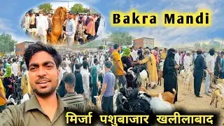 Khalilabad Bakra Mandi 2025: The GOAT of Goat Markets बकरा मार्किट खलीलाबाद |