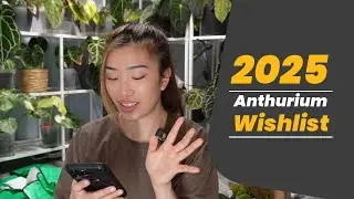 My Anthurium Wishlist for 2025 or forever