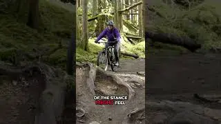 Perfect Entry Level Trail Bike: Giant Stance