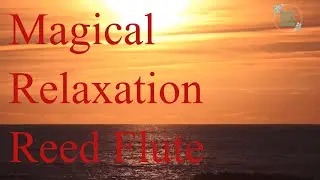 Reed Flute - ''NEY'' - Sufi Music - Sufi Meditation Music - Relaxing Bird and Waterfall Sound #sufi