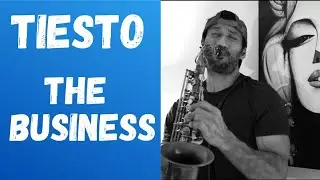 The Business I Ti&euml;sto l Saxophone Cover I vr Musiic