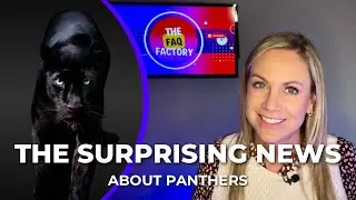 The Surprising News About Black Panthers!