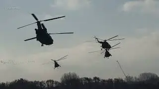 Falcon Autumn Air Assault Final Exercise At Former Naval Air Base Valkenburg 16 Nov 2022