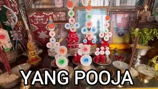 WHAT IS THE YANG POOJA ? @rinchenvlog