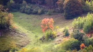 Mi-e atât de dor Isuse,, după Tine.. (retransmis!)