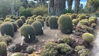 HUNTINGTON BOTANICAL GARDEN 2