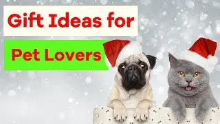 Gift Ideas for Pet Lovers in 2024