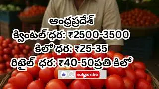 AP & తెలంగాణలో తాజా టమాటా ధరలు&ndash; Daily Market Prices & Agriculture Updates