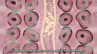 🤔 L&Agrave;M SAO ĐỂ NGỦ NGON? #ngungon #matngu #ngusaugiac #ngu #xuhuong #dinhcaoduongsinh #0768676878