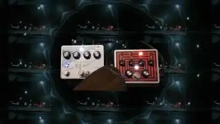 Mattoverse Electronics - Tetrastep into Warble Swell Delay