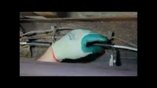 Instalación de una bomba universal AIRTEX de gasolina