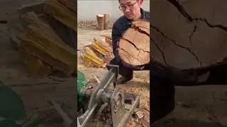 Wood Crushing in This Powerful Machine#WoodProcessing #HeavyMachinery #IndustrialWork