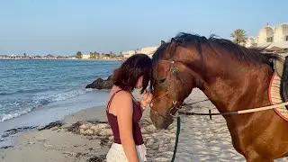 Hotel Monarque Dar Jerba Zahra / Narjess Djerba - 8. den