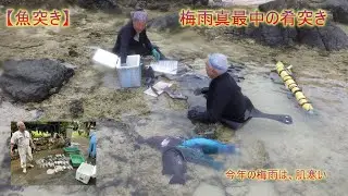 【魚突き】　沖永良部の梅雨を泳ぎます。