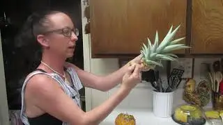 How to Grow a Pineapple in California