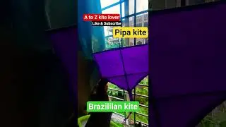 pipa kite brazilian kite #kite #kiteflying #ytshorts #viralshort #monokitefighter