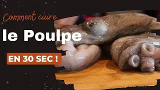 Comment cuire le poulpe