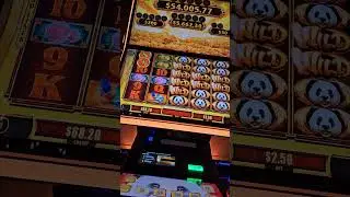oops i did again#mega feature bag game#teaser#letsgoviral