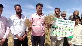 Best results of jiru indiaagro