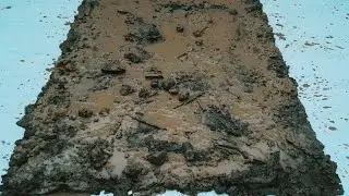 Mud and Khaki Carpets - Step-by-step carpet cleaning tutorial at home - satisfying video 