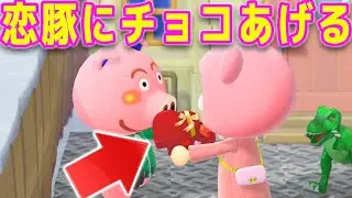 好きな豚に世界一まずいチョコ食わせてみた #136【あつまれどうぶつの森 バレンタイン】