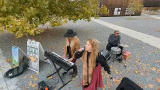 Emerald City Cats playing They All Laughed by George & Ira Gershwin @ South Lake Union Park 10.30.25