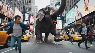Elephant escaping a zoo in nyc