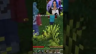 minecraft voice chat w/ friends be like ₍&bull;͟ ͜ &bull; ₎