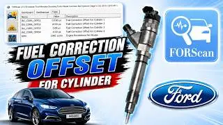Fuel Correction Offset for Cylinder - Forscan - Ford Mondeo mk5 2.0 TDCI