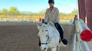 This what I did today I had my horse 🐎Lesson at horse’s  🐴help 