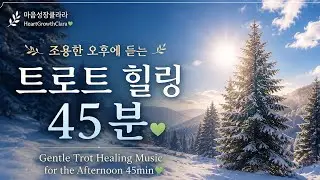 조용한 오후에 듣는 따뜻한 트로트 힐링 45분💚 | Gentle Trot Healing Music for the Afternoon 45min💚