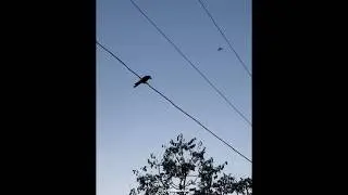 #sky #clouds #cloudslovers #skylover #skiesofstories #skycaptures #sumertime #timelapse #explorepage