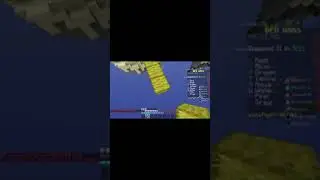 Pov: You did not know that Freelook is disabled on Minecraft Hypixel