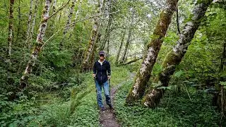 QUEETS RIVER & RAINFOREST Trail, Olympic Peninsula, WA, USA (4k)