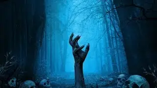 Terror 