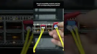 40G QSFP+-ER4 Compatibility Test on Cisco Switch #shorts #network #datacenter