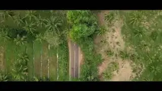 Performalux Sri lanka run 2019
