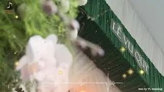 Ng&agrave;y T&igrave;nh Y&ecirc;u Vẫy Gọi | Nhạc Cưới Mở Tiệc | Carnival Pop Vui Nhộn & Rộn R&agrave;ng