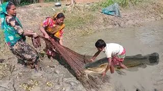 catching big catfish by hand fishing - village women fishing videos - cast net fishing