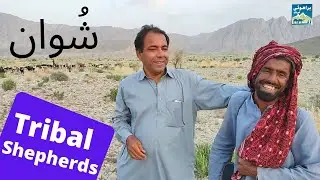 My Interesting Encounters with The Tribal Shepherds of Balochistan , Pakistan | English Subtitles