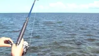 Florida Keys shark fishing with Capt. Chris Johnson & SeaSquared Charters 5/30/11 Part 2