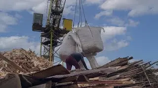 Collected Precision: Best Moments in Wood Processing