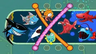 Fishdom Ads Save The Fish | Save The Fish From Big Monster Shark | Fishgame | Fishdom Ads 