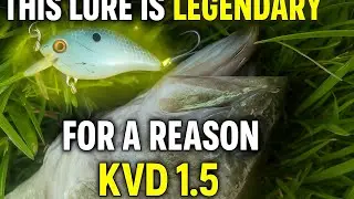 This Lure is LEGENDARY for a Reason &ndash; KVD 1.5